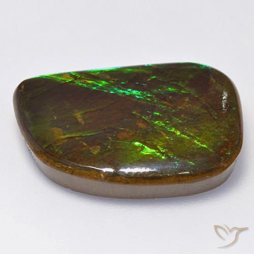 amolita Multicolorido Natural 19.75ct, Chique, Opaco