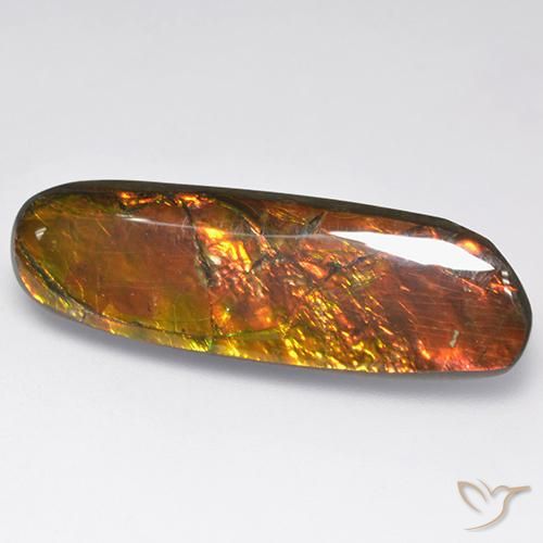 amolita Multicolorido Natural 18.52ct, Chique, Opaco