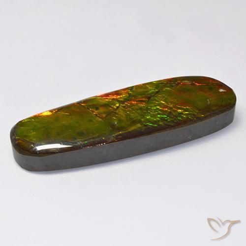 amolita Multicolorido Natural 18.52ct, Chique, Opaco