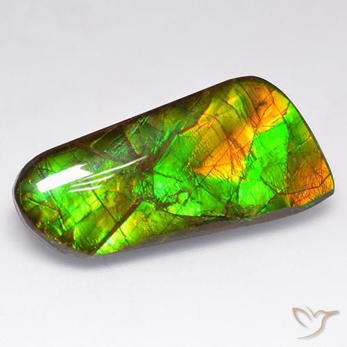 16.18ct Natural Multicolorido amolita, Chique, Opaco