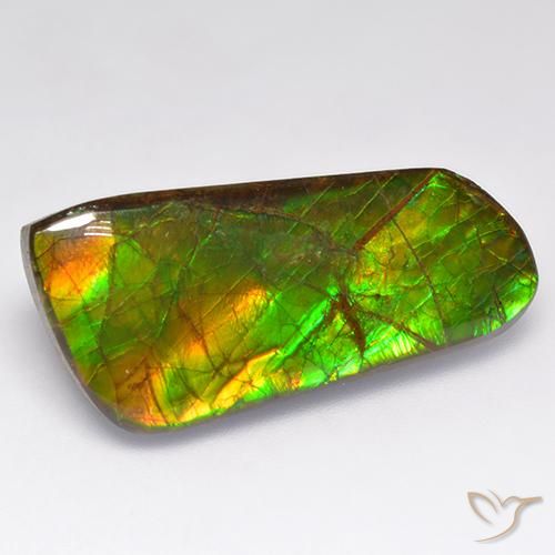 amolita Multicolorido Natural 16.18ct, Chique, Opaco