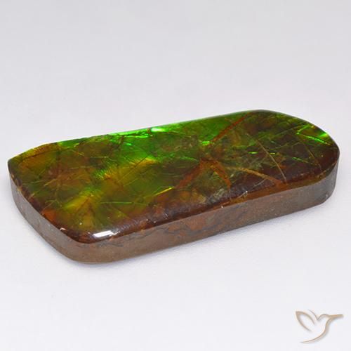 amolita Multicolorido Natural 16.18ct, Chique, Opaco