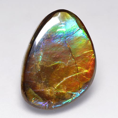 Ammolita multicolorido natural 14,52ct, forma extravagante, opaco