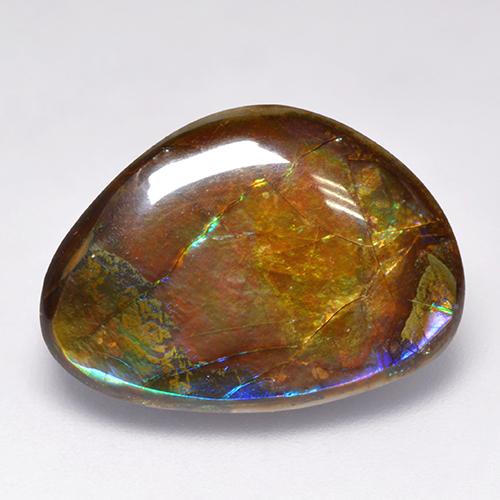 Ammolita multicolorido natural 14,52ct, forma extravagante, opaco