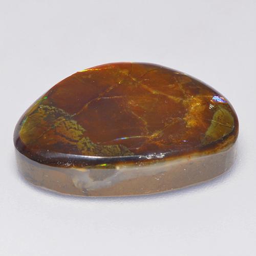 Ammolita multicolorido natural 14,52ct, forma extravagante, opaco
