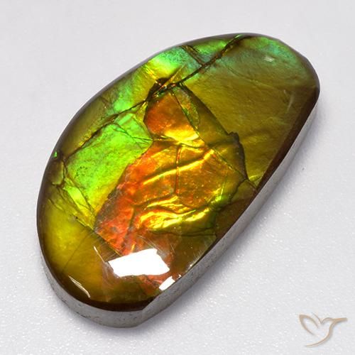 13.86ct Natural Multicolorido amolita, Chique, Opaco