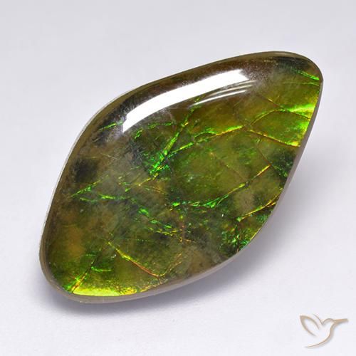 14.12ct Natural Multicolorido amolita, Chique, Opaco
