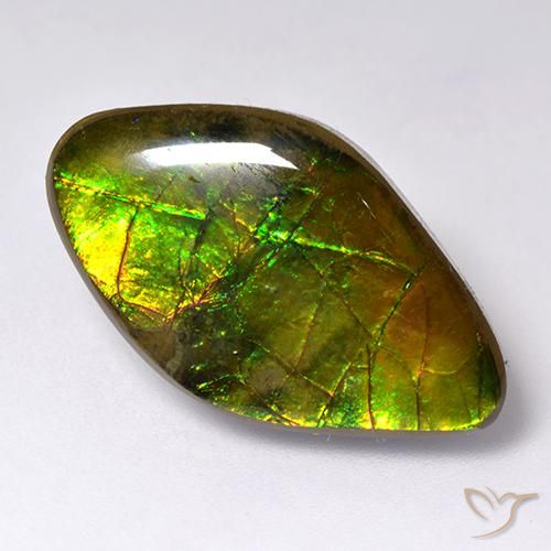 amolita Multicolorido Natural 14.12ct, Chique, Opaco