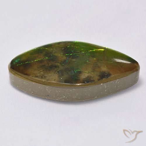 amolita Multicolorido Natural 14.12ct, Chique, Opaco