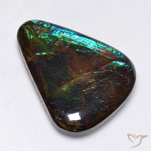 17.25ct Natural Multicolorido amolita, Chique, Opaco