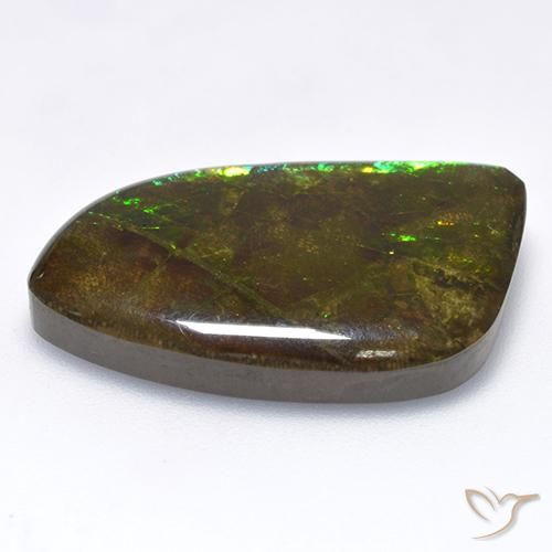 amolita Multicolorido Natural 18.89ct, Chique, Opaco