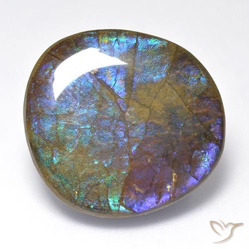 amolita Multicolorido Natural 23.02ct, Chique, Opaco