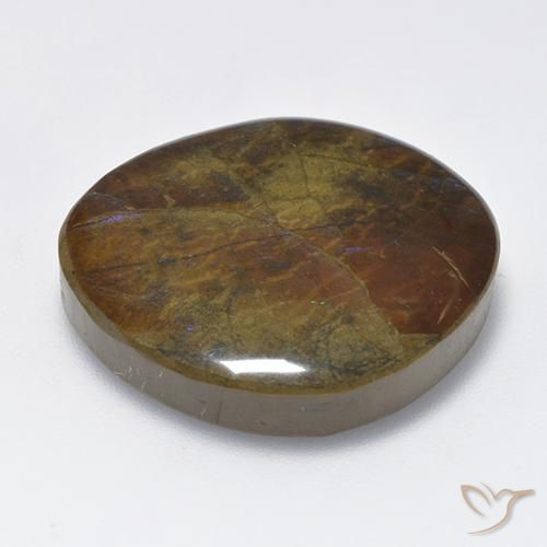 amolita Multicolorido Natural 23.02ct, Chique, Opaco