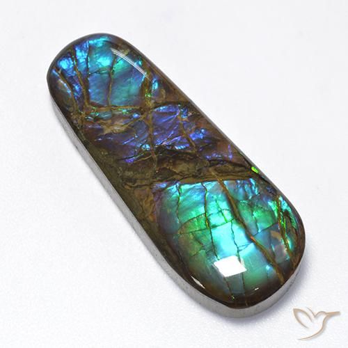 16.62ct Natural Multicolorido amolita, Chique, Opaco