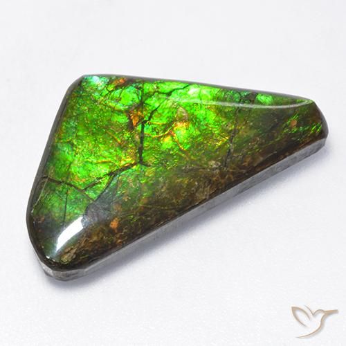 10.43ct Natural Multicolorido amolita, Chique, Opaco, Photo A
