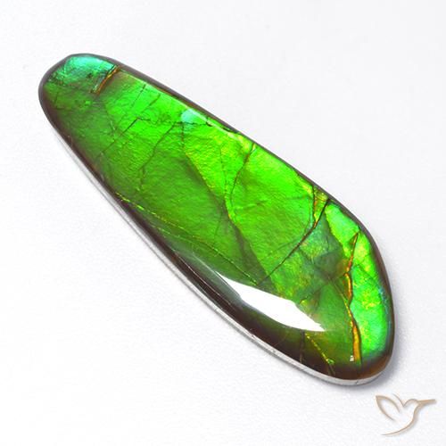 amolita Multicolorido Natural 17.48ct, Chique, Opaco