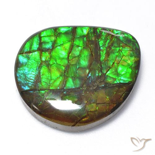 amolita Multicolorido Natural 18.62ct, Chique, Opaco