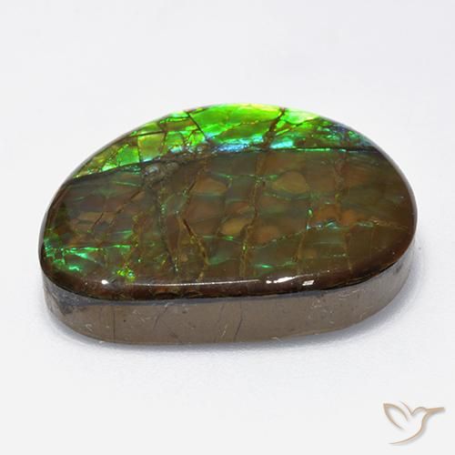 amolita Multicolorido Natural 18.62ct, Chique, Opaco