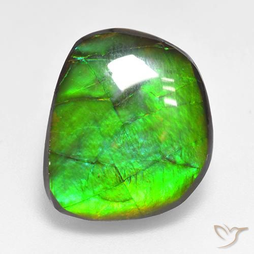 10.59ct Natural Multicolorido amolita, Chique, Opaco