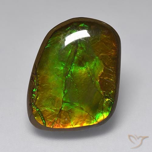 10.83ct Natural Multicolorido amolita, Chique, Opaco