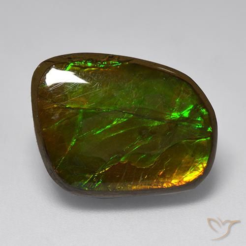 amolita Multicolorido Natural 10.83ct, Chique, Opaco