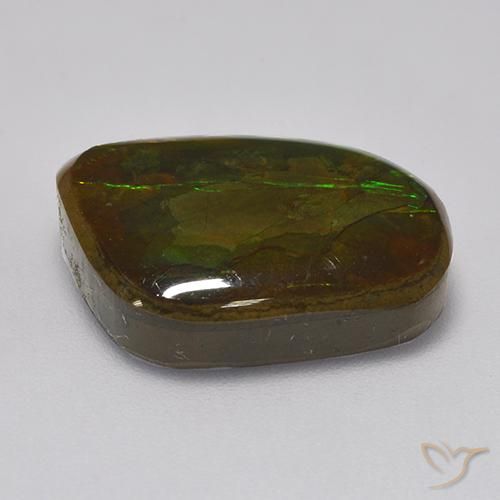 amolita Multicolorido Natural 10.83ct, Chique, Opaco