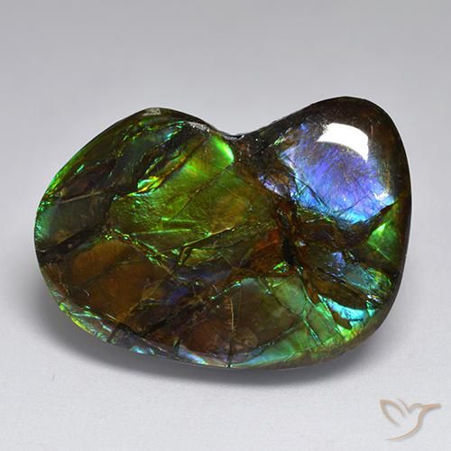 amolita Multicolorido Natural 23.10ct, Chique, Opaco