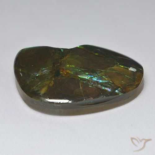 amolita Multicolorido Natural 23.10ct, Chique, Opaco