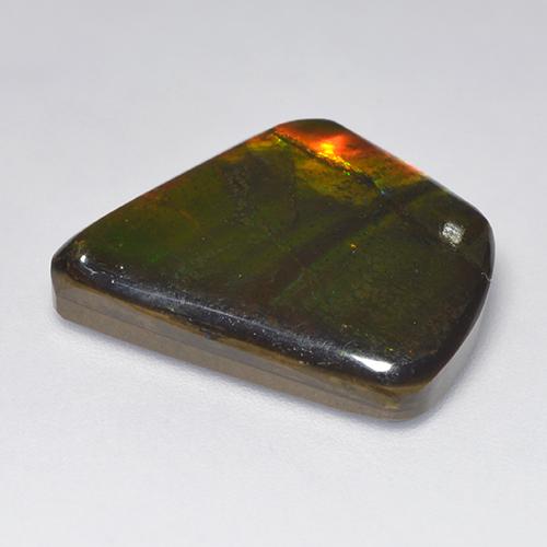 Amolita Multicolorido Natural 11.08ct, Forma extravagante, Opaco