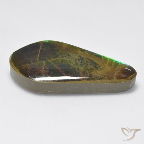 amolita Multicolorido Natural 15.47ct, Chique, Opaco