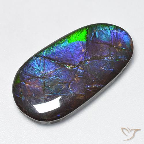 16.63ct Natural Multicolorido amolita, Chique, Opaco