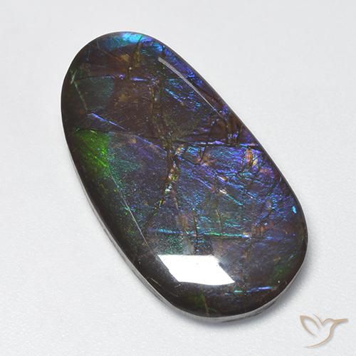 amolita Multicolorido Natural 16.63ct, Chique, Opaco