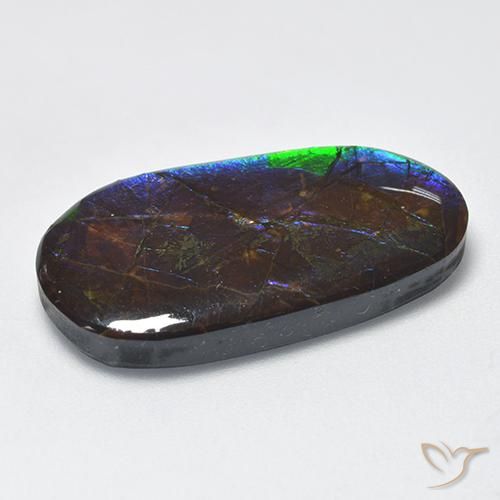 amolita Multicolorido Natural 16.63ct, Chique, Opaco