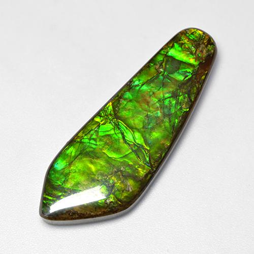 Ammolita multicolorido natural 25,04ct, forma extravagante, opaco