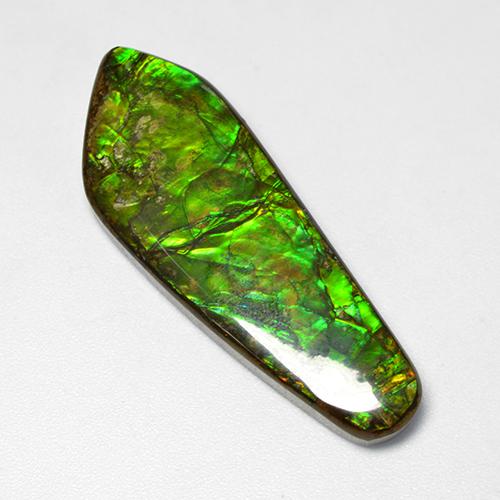 Ammolita multicolorido natural 25,04ct, forma extravagante, opaco