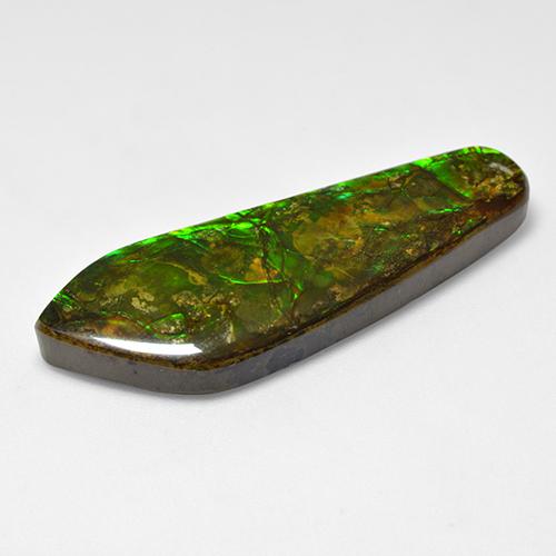 Ammolita multicolorido natural 25,04ct, forma extravagante, opaco