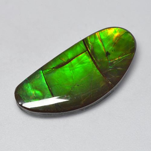 Ammolita multicolorido natural 12,39ct, forma extravagante, opaco
