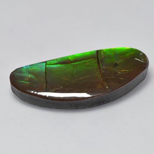 Ammolita multicolorido natural 12,39ct, forma extravagante, opaco