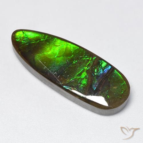12.78ct Natural Multicolorido amolita, Chique, Opaco