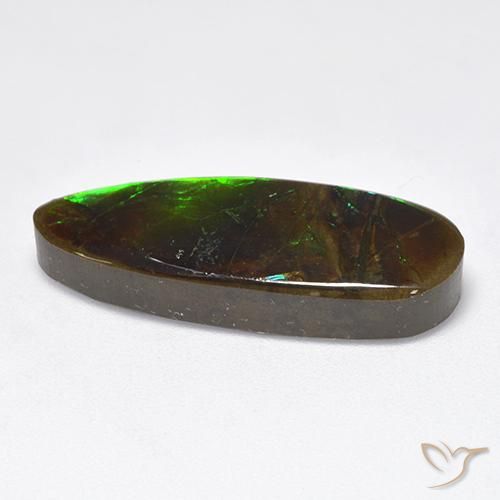 amolita Multicolorido Natural 12.78ct, Chique, Opaco