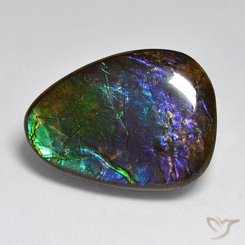 amolita Multicolorido Natural 17.96ct, Chique, Opaco