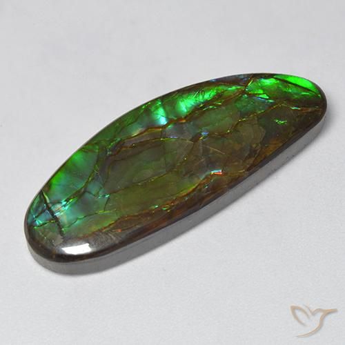 amolita Multicolorido Natural 18.94ct, Chique, Opaco