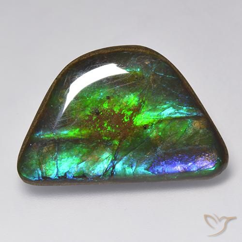 15.86ct Natural Multicolorido amolita, Chique, Opaco