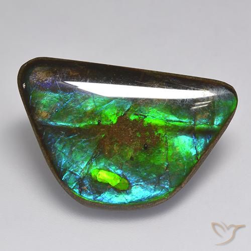 amolita Multicolorido Natural 15.86ct, Chique, Opaco