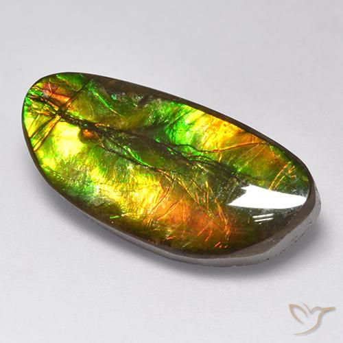 amolita Multicolorido Natural 11.62ct, Chique, Opaco