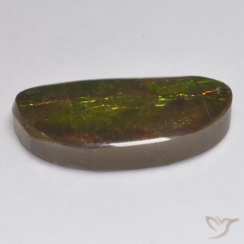 amolita Multicolorido Natural 11.62ct, Chique, Opaco