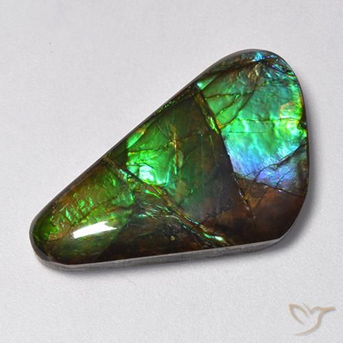 13.85ct Natural Multicolorido amolita, Chique, Opaco