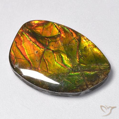 amolita Multicolorido Natural 11.13ct, Chique, Opaco
