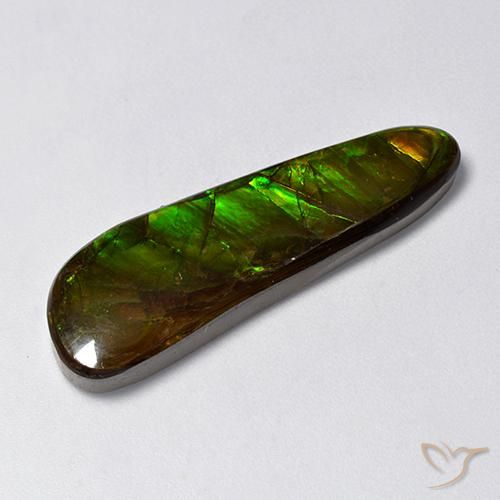 14.88ct Natural Multicolorido amolita, Chique, Opaco