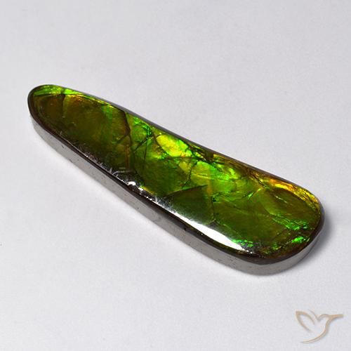 amolita Multicolorido Natural 14.88ct, Chique, Opaco